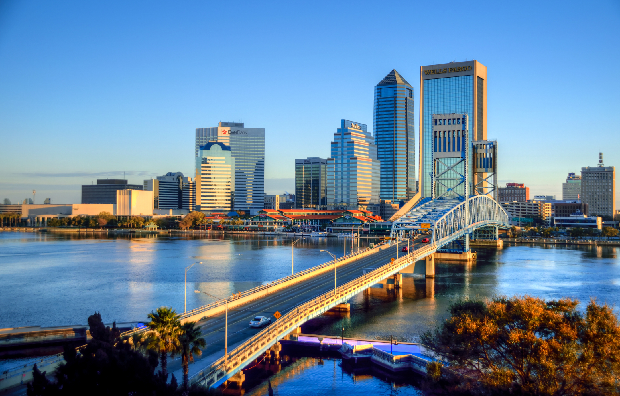 Jacksonville skyline
